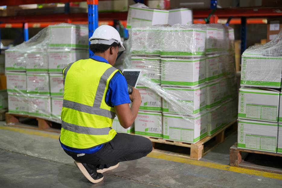 revisión para despacho aduanal